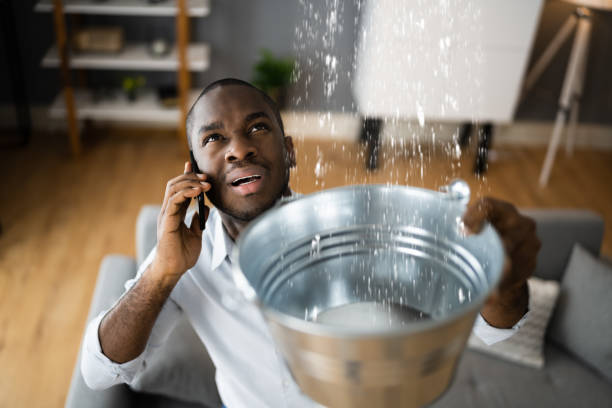 Best Water damage restoration near me  in Stewart Manor, NY