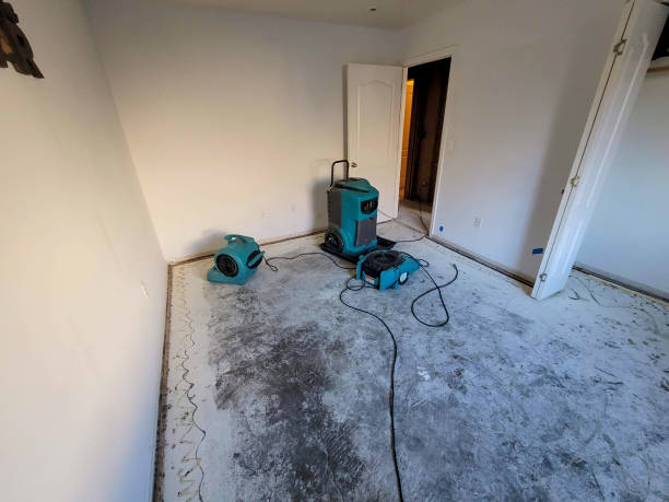 Best Emergency water extraction  in Stewart Manor, NY