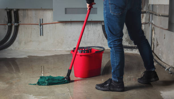 Best Carpet water damage restoration  in Stewart Manor, NY