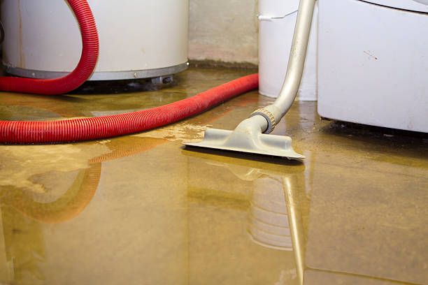 Best Flood restoration services  in Stewart Manor, NY