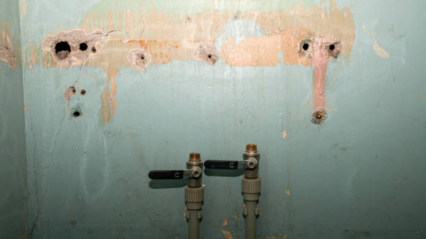 Best Water damage mitigation services  in Stewart Manor, NY