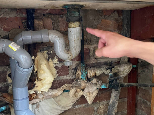 Best Basement water damage restoration  in Stewart Manor, NY