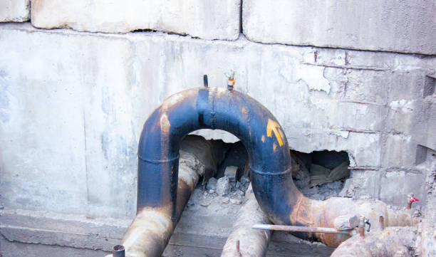Best Professional water damage repair  in Stewart Manor, NY